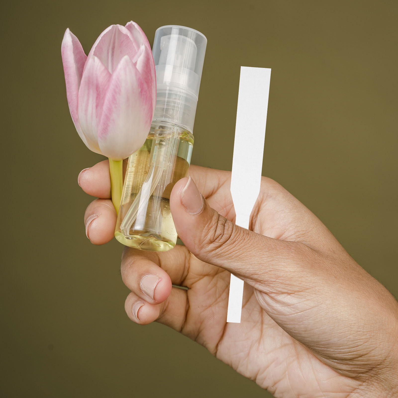 Shop Home Fragrance - 100 Stück Parfüm-Teststreifen Duft-Teststreifen für Kosmetikgeschäfte