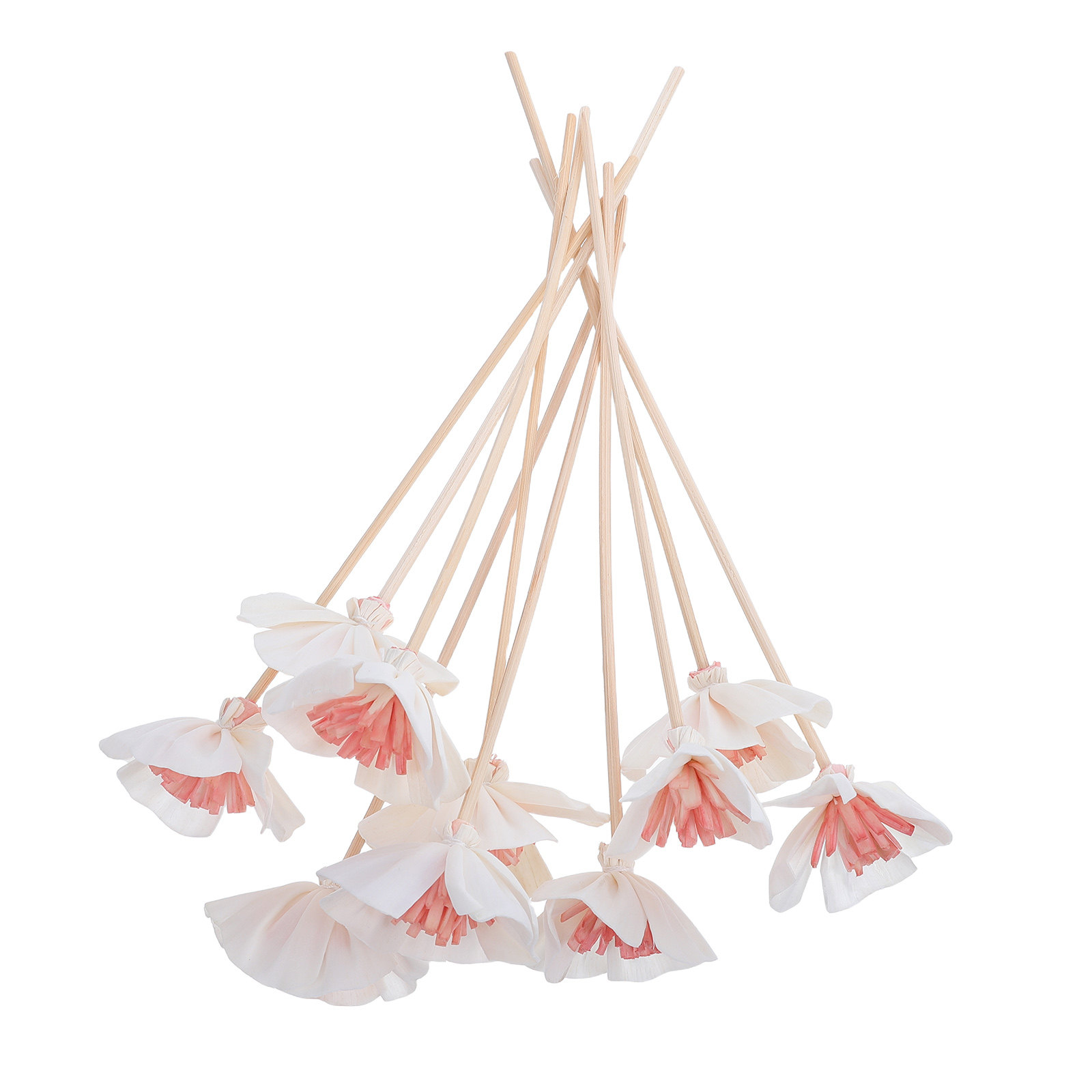 Home Fragrance Oils - 10 Stück Diffusorstäbchen für ätherische Öle,