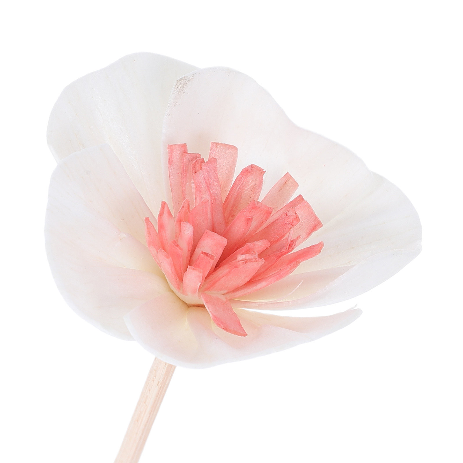 10 Stück Diffusorstäbchen für  – Home Fragrance Oils Bewertung und Preis