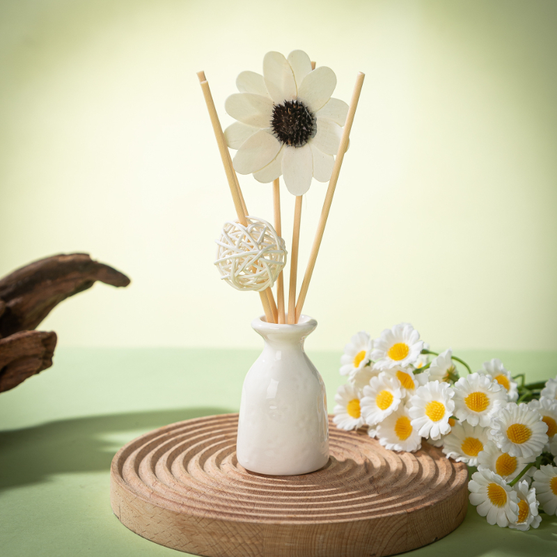 30ml Reed-Diffusor-Sets für Ho – Home Fragrance Hotel Collection Bewertung und Preis